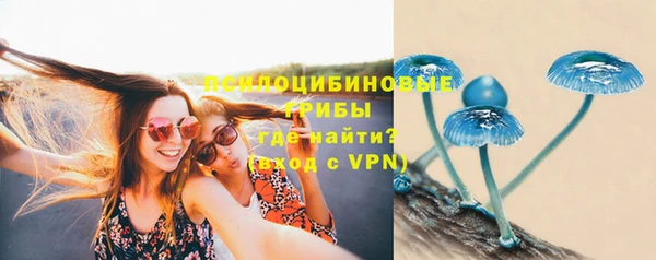 ALPHA PVP Богданович