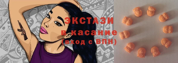 стаф Богородск