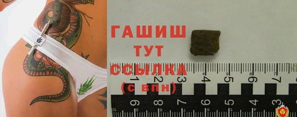 стаф Богородск