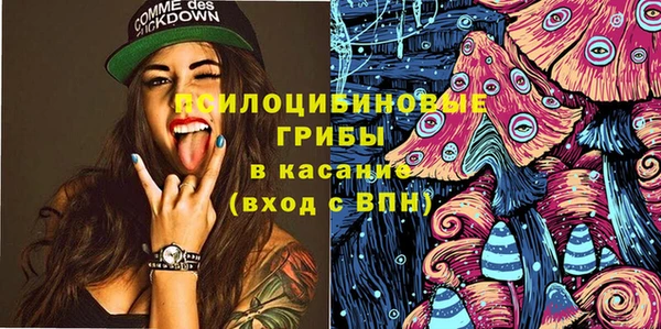 ALPHA PVP Богданович