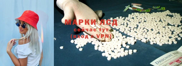 стаф Богородск