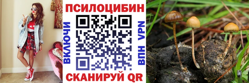 Псилоцибиновые грибы GOLDEN TEACHER  закладка  Шахунья 